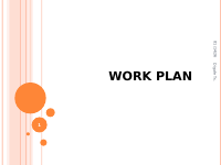 Work plan (1).pdf